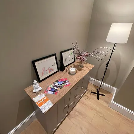 公寓 Great House In Centre With All Amenities 都柏林